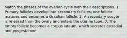 Match the phases of the ovarian cycle with their descriptions. 1. Primary follicles develop into secondary follicles; one follicle matures and becomes a Graafian follicle. 2. A secondary oocyte is released from the ovary and enters the uterine tube. 3. The empty follicle becomes a corpus luteum, which secretes estradiol and progesterone.