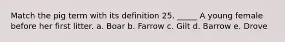 Match the pig term with its definition 25. _____ A young female before her first litter. a. Boar b. Farrow c. Gilt d. Barrow e. Drove