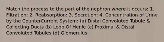 Match the process to the part of the nephron where it occurs: 1. Filtration: 2. Reabsorption: 3. Secretion: 4. Concentration of Urine by the CounterCurrent System: (a) Distal Convoluted Tubule & Collecting Ducts (b) Loop Of Henle (c) Proximal & Distal Convoluted Tubules (d) Glomerulus