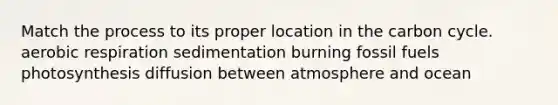 Match the process to its proper location in the carbon cycle. aerobic respiration sedimentation burning fossil fuels photosynthesis diffusion between atmosphere and ocean