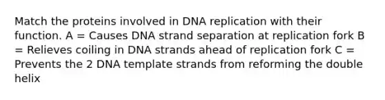 Match the proteins involved in DNA replication with their function. A = Causes DNA strand separation at replication fork B = Relieves coiling in DNA strands ahead of replication fork C = Prevents the 2 DNA template strands from reforming the double helix