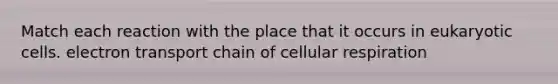 Match each reaction with the place that it occurs in eukaryotic cells. electron transport chain of cellular respiration