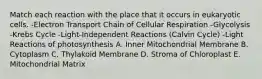 Match each reaction with the place that it occurs in eukaryotic cells. -Electron Transport Chain of Cellular Respiration -Glycolysis -Krebs Cycle -Light-Independent Reactions (Calvin Cycle) -Light Reactions of photosynthesis A. Inner Mitochondrial Membrane B. Cytoplasm C. Thylakoid Membrane D. Stroma of Chloroplast E. Mitochondrial Matrix