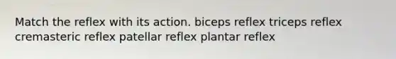 Match the reflex with its action. biceps reflex triceps reflex cremasteric reflex patellar reflex plantar reflex