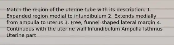 Match the region of the uterine tube with its description. 1. Expanded region medial to infundibulum 2. Extends medially from ampulla to uterus 3. Free, funnel-shaped lateral margin 4. Continuous with the uterine wall Infundibulum Ampulla Isthmus Uterine part