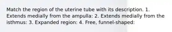 Match the region of the uterine tube with its description. 1. Extends medially from the ampulla: 2. Extends medially from the isthmus: 3. Expanded region: 4. Free, funnel-shaped: