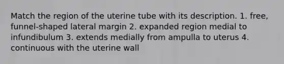 Match the region of the uterine tube with its description. 1. free, funnel-shaped lateral margin 2. expanded region medial to infundibulum 3. extends medially from ampulla to uterus 4. continuous with the uterine wall