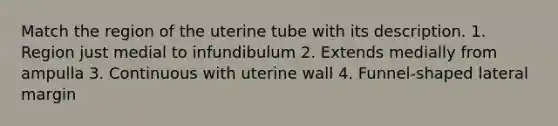 Match the region of the uterine tube with its description. 1. Region just medial to infundibulum 2. Extends medially from ampulla 3. Continuous with uterine wall 4. Funnel-shaped lateral margin