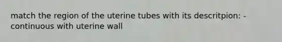 match the region of the uterine tubes with its descritpion: -continuous with uterine wall