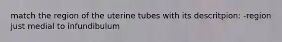 match the region of the uterine tubes with its descritpion: -region just medial to infundibulum