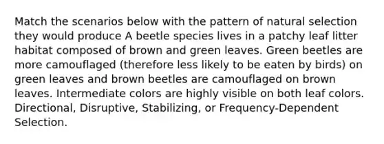 Match the scenarios below with the pattern of natural selection they would produce A beetle species lives in a patchy leaf litter habitat composed of brown and green leaves. Green beetles are more camouflaged (therefore less likely to be eaten by birds) on green leaves and brown beetles are camouflaged on brown leaves. Intermediate colors are highly visible on both leaf colors. Directional, Disruptive, Stabilizing, or Frequency-Dependent Selection.