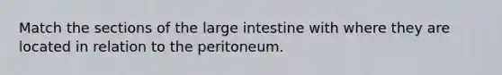 Match the sections of the large intestine with where they are located in relation to the peritoneum.