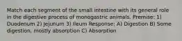 Match each segment of the small intestine with its general role in the digestive process of monogastric animals. Premise: 1) Duodenum 2) Jejunum 3) Ileum Response: A) Digestion B) Some digestion, mostly absorption C) Absorption