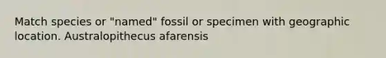 Match species or "named" fossil or specimen with geographic location. Australopithecus afarensis