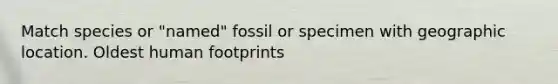 Match species or "named" fossil or specimen with geographic location. Oldest human footprints