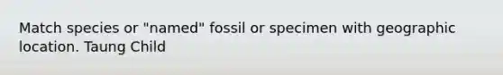 Match species or "named" fossil or specimen with geographic location. Taung Child