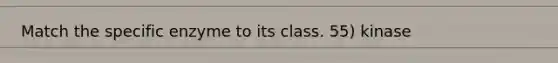 Match the specific enzyme to its class. 55) kinase