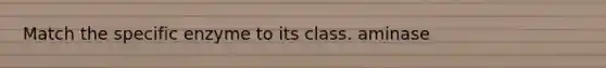 Match the specific enzyme to its class. aminase