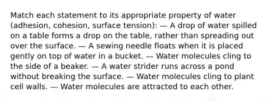 Match each statement to its appropriate property of water (adhesion, cohesion, surface tension): — A drop of water spilled on a table forms a drop on the table, rather than spreading out over the surface. — A sewing needle floats when it is placed gently on top of water in a bucket. — Water molecules cling to the side of a beaker. — A water strider runs across a pond without breaking the surface. — Water molecules cling to plant cell walls. — Water molecules are attracted to each other.