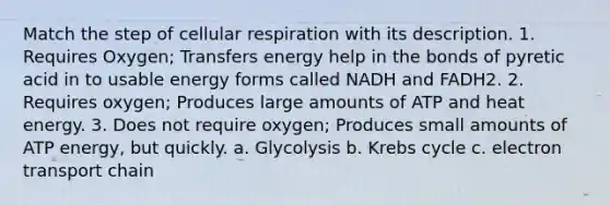 Match the step of cellular respiration with its description. 1. Requires Oxygen; Transfers energy help in the bonds of pyretic acid in to usable energy forms called NADH and FADH2. 2. Requires oxygen; Produces large amounts of ATP and heat energy. 3. Does not require oxygen; Produces small amounts of ATP energy, but quickly. a. Glycolysis b. Krebs cycle c. electron transport chain