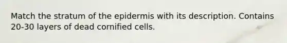 Match the stratum of the epidermis with its description. Contains 20-30 layers of dead cornified cells.