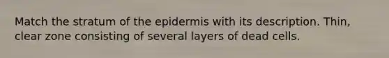 Match the stratum of the epidermis with its description. Thin, clear zone consisting of several layers of dead cells.