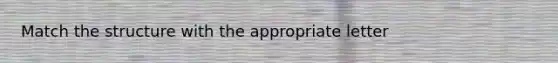 Match the structure with the appropriate letter