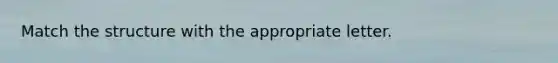 Match the structure with the appropriate letter.