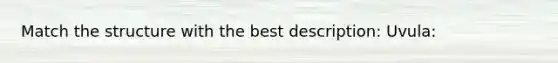 Match the structure with the best description: Uvula: