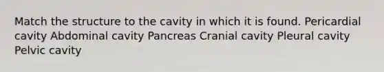 Match the structure to the cavity in which it is found. Pericardial cavity Abdominal cavity Pancreas Cranial cavity Pleural cavity Pelvic cavity