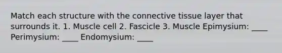 Match each structure with the connective tissue layer that surrounds it. 1. Muscle cell 2. Fascicle 3. Muscle Epimysium: ____ Perimysium: ____ Endomysium: ____