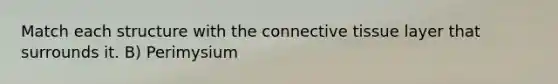 Match each structure with the connective tissue layer that surrounds it. B) Perimysium
