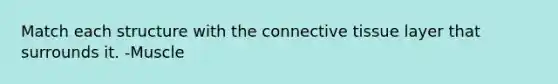 Match each structure with the <a href='https://www.questionai.com/knowledge/kYDr0DHyc8-connective-tissue' class='anchor-knowledge'>connective tissue</a> layer that surrounds it. -Muscle