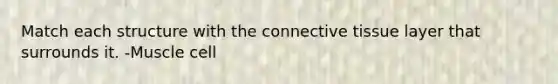 Match each structure with the connective tissue layer that surrounds it. -Muscle cell