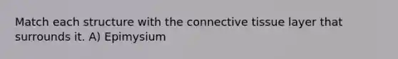 Match each structure with the connective tissue layer that surrounds it. A) Epimysium