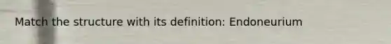Match the structure with its definition: Endoneurium