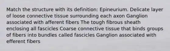 Match the structure with its definition: Epineurium. Delicate layer of loose <a href='https://www.questionai.com/knowledge/kYDr0DHyc8-connective-tissue' class='anchor-knowledge'>connective tissue</a> surrounding each axon Ganglion associated with afferent fibers The tough fibrous sheath enclosing all fascicles Coarse connective tissue that binds groups of fibers into bundles called fascicles Ganglion associated with efferent fibers