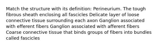 Match the structure with its definition: Perineurium. The tough fibrous sheath enclosing all fascicles Delicate layer of loose connective tissue surrounding each axon Ganglion associated with efferent fibers Ganglion associated with afferent fibers Coarse connective tissue that binds groups of fibers into bundles called fascicles