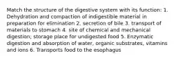 Match the structure of the digestive system with its function: 1. Dehydration and compaction of indigestible material in preparation for elimination 2. secretion of bile 3. transport of materials to stomach 4. site of chemical and mechanical digestion; storage place for undigested food 5. Enzymatic digestion and absorption of water, organic substrates, vitamins and ions 6. Transports food to the esophagus