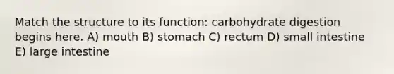 Match the structure to its function: carbohydrate digestion begins here. A) mouth B) stomach C) rectum D) small intestine E) large intestine