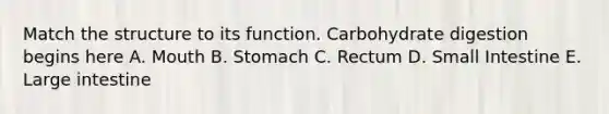 Match the structure to its function. Carbohydrate digestion begins here A. Mouth B. Stomach C. Rectum D. Small Intestine E. Large intestine