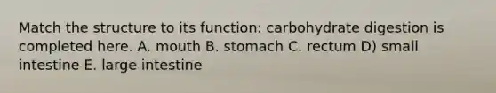 Match the structure to its function: carbohydrate digestion is completed here. A. mouth B. stomach C. rectum D) small intestine E. <a href='https://www.questionai.com/knowledge/kGQjby07OK-large-intestine' class='anchor-knowledge'>large intestine</a>