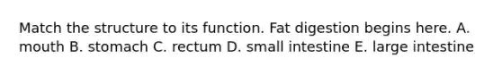 Match the structure to its function. Fat digestion begins here. A. mouth B. stomach C. rectum D. small intestine E. large intestine