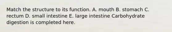 Match the structure to its function. A. mouth B. stomach C. rectum D. small intestine E. large intestine Carbohydrate digestion is completed here.