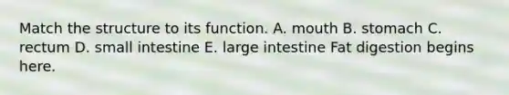 Match the structure to its function. A. mouth B. stomach C. rectum D. small intestine E. large intestine Fat digestion begins here.