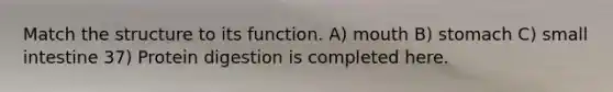 Match the structure to its function. A) mouth B) stomach C) small intestine 37) Protein digestion is completed here.