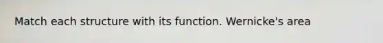 Match each structure with its function. Wernicke's area