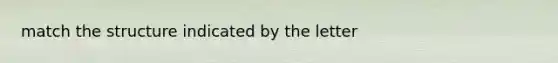match the structure indicated by the letter