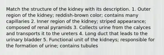 Match the structure of the kidney with its description. 1. Outer region of the kidney; reddish-brown color; contains many capillaries 2. Inner region of the kidney; striped appearance; composed of renal pyramids 3. Collects urine from the calyces and transports it to the ureters 4. Long duct that leads to the urinary bladder 5. Functional unit of the kidneys; responsible for the formation of urine; contains tubules