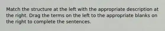 Match the structure at the left with the appropriate description at the right. Drag the terms on the left to the appropriate blanks on the right to complete the sentences.​